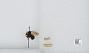 Bombus sp.
