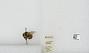 Bombus sp.