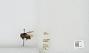 Bombus sp.