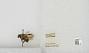Bombus sp.