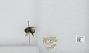 Bombus sp.