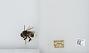 Bombus sp.