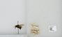 Bombus sp.