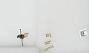 Bombus sp.