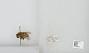 Bombus sp.