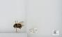 Bombus sp.