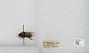 Bombus sp.
