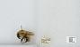 Bombus sp.