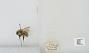Bombus sp.