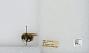 Bombus sp.