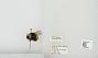 Bombus sp.