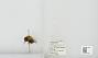 Bombus sp.