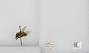 Bombus sp.