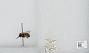 Bombus sp.