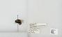 Bombus sp.