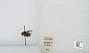 Bombus sp.