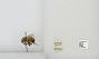 Bombus sp.