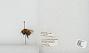 Bombus sp.