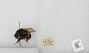 Bombus sp.