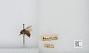 Bombus sp.