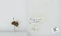 Bombus sp.