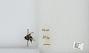 Bombus sp.