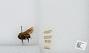 Bombus sp.