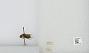 Bombus sp.