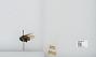 Bombus sp.