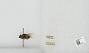 Bombus sp.