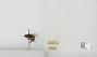 Bombus sp.