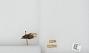 Bombus sp.