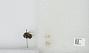 Bombus sp.