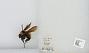Bombus sp.