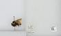 Bombus sp.