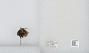 Bombus sp.