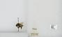 Bombus sp.