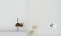 Bombus sp.