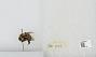 Bombus sp.