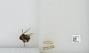 Bombus sp.