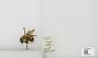 Bombus sp.
