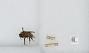 Bombus sp.