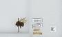 Bombus sp.