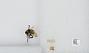Bombus sp.