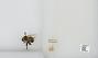 Bombus sp.