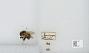 Bombus (Thoracobombus) pascuorum