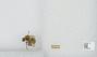 Bombus (Thoracobombus) pascuorum