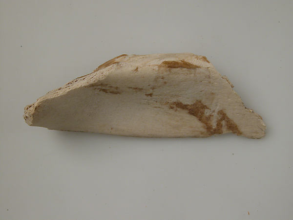 Bone