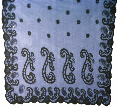 Bonnet Veil