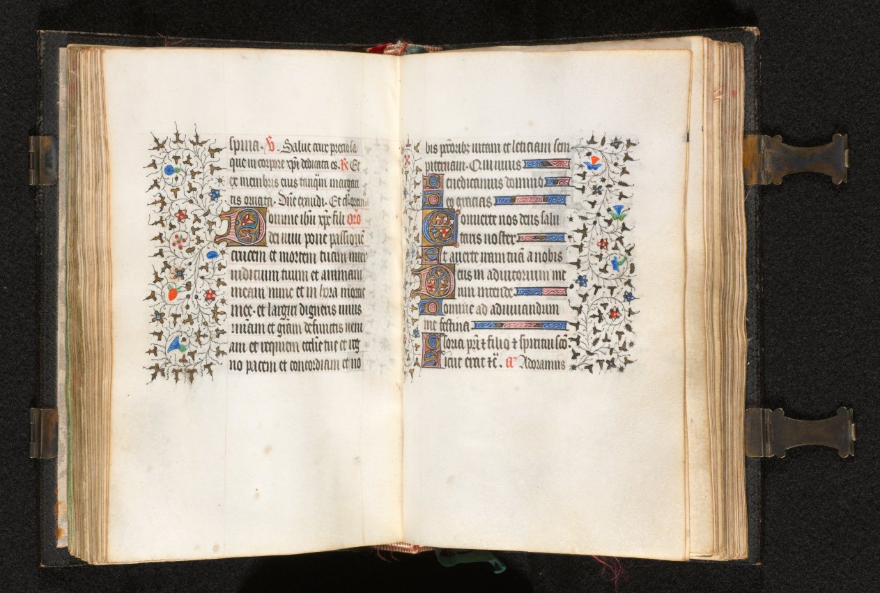 Book of Hours (Use of Paris): Fol. 105v, Initial D with Decorated Border